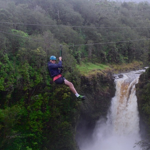 Meet your Posher, Norbert - Picture 1 of 1